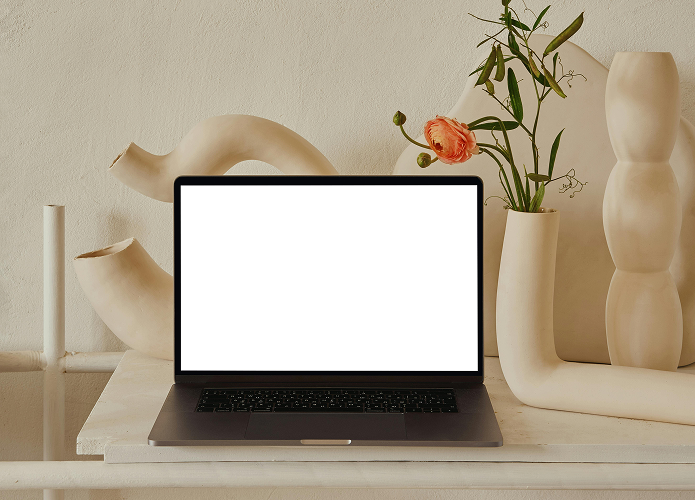 view of laptop computer displaying project